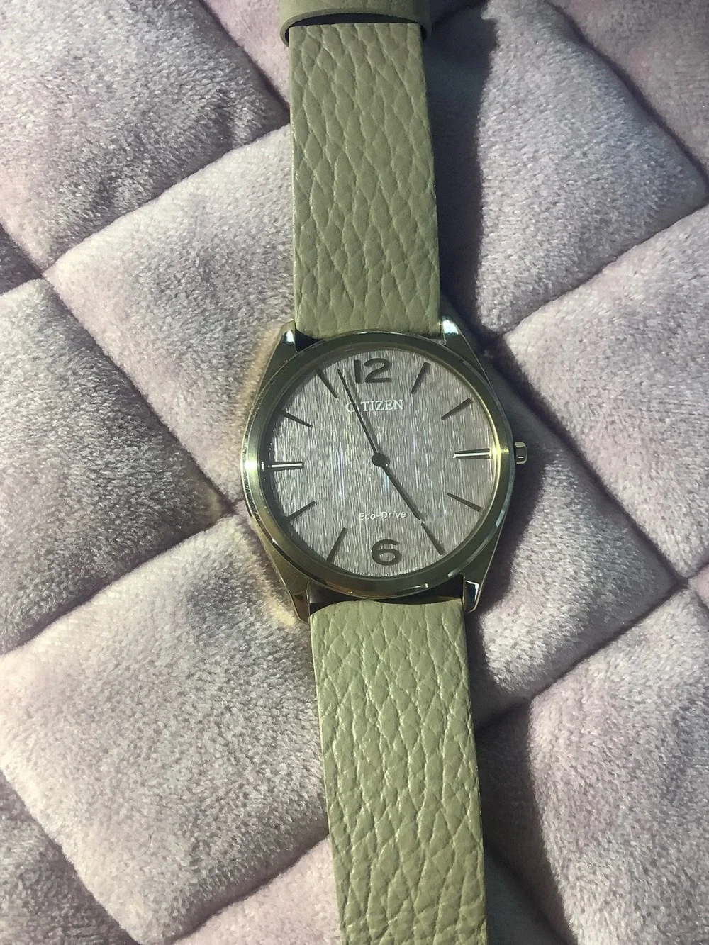 Citizen Suratto Eco Drive Watch